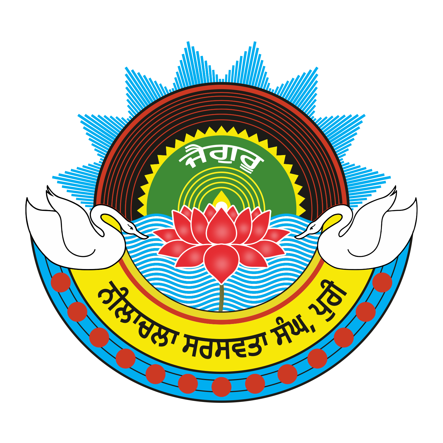 NSS Logo Punjabi